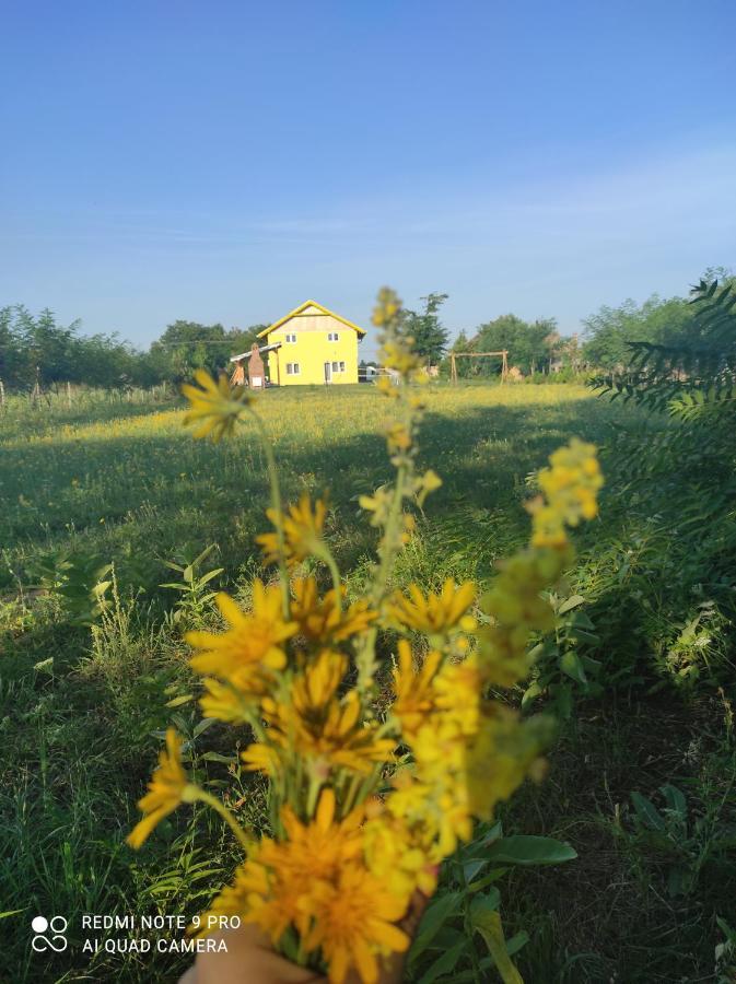 Appartamento Mirella33 Palić Esterno foto